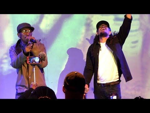 REGGAE live concert, Screechy Dan & Red Fox,  Rayvon & Sugar Bear 2019 New York