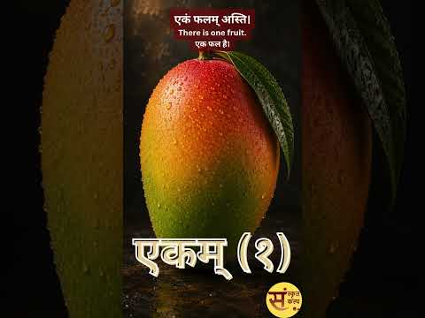 सङ्ख्यानां परिचयः | Introduction to Numbers | संख्याओं का परिचय | #sanskritkalp | #motivation