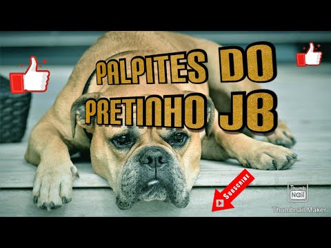 PALPITES DO PRETINHO JB 10/04/2020 - JOGO DO BICHO