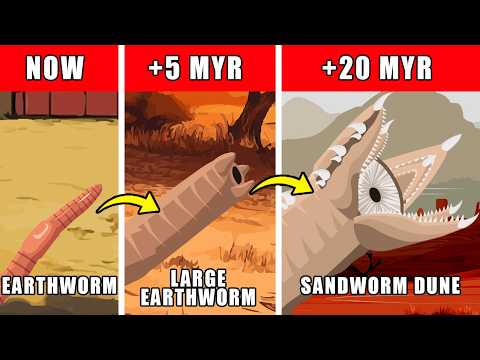 Sandworm (Dune) Origin Evolution : How Sandworm Could Have Evolved On Earth