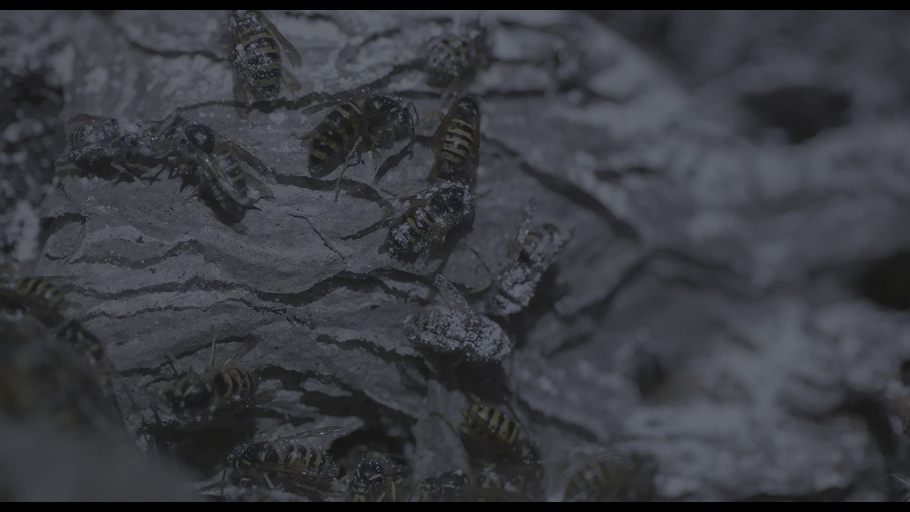 Kaltes Tal - Trailer