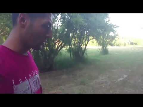 Kral Puncher Jumbo .22 cal at 125m