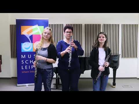 Vorstellung Oboe - Unterricht Holzblasinstrumente an der Musikschule Leipzig