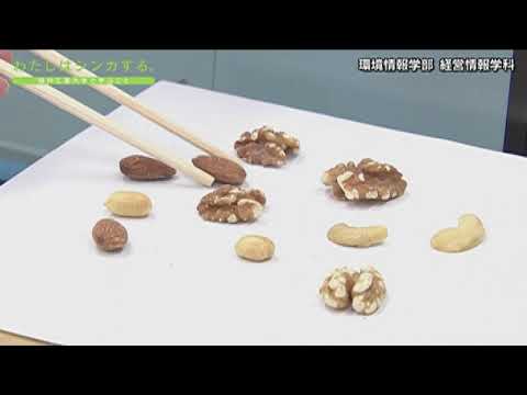 わたしはシンカする。 環境情報学部 経営情報学科