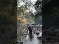Triumph Scrambler 400x Triumph Scrambler400x Triumphscrambler