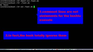 Bash Shell Scripting for Beginners: Commenting in BASH script