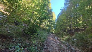 Download lagu Salendo in Mountain Bike nella Valle del M. Autore. (04/10/2025) mp3