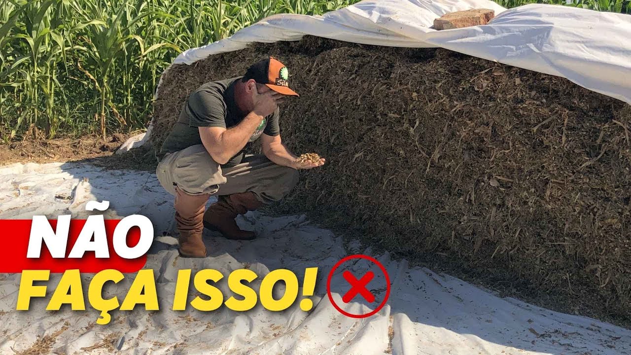 ERROS NA SILAGEM