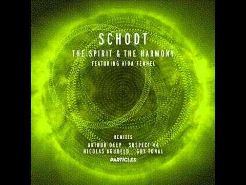 Schodt - The Spirit And The Harmony (Nicolas Agudelo Remix)