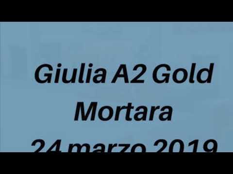 2 prova Fgi gold A2 -Giulia Agnelli