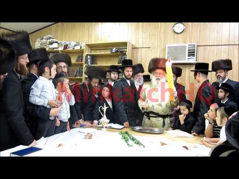 C"k Admor M'minkatch Shlite by havduleh