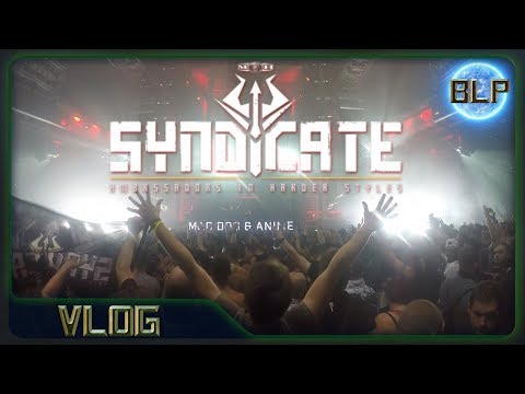 Syndicate Festival 2017 | Union of Happiness | Reallog Vol. 2 Aftermovie | BetterLifeProduction