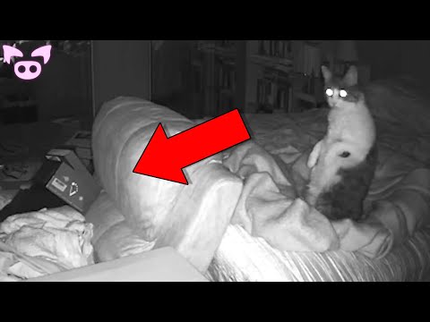Scary Ghosts Caught on Camera