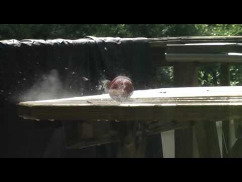 The effects of hollow point pellets vs standard hunting pellets in slow motion.