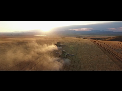Wheat Montana | Trailer