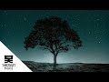Pola & Bryson Ft. Lauren Archer - Night Dawns