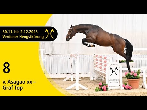 Verden Stallion Licensing 2023 - Jumping - Dec. 1/2- No. 8 Stallion by Asagao xx - Graf Top