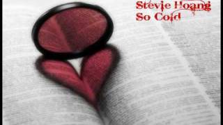 Stevie Hoang - So Cold [HQ]