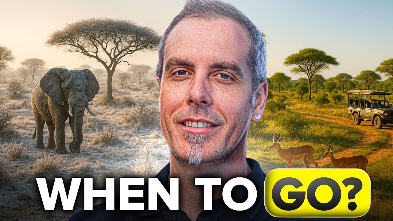 When to Go on Safari: Best Seasons & Migration Guide (2026)