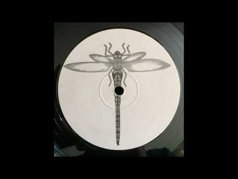 Hallucinogen - L.S.D. EP [1995] Dragonfly Records [Goa Trance]