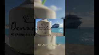 They Didn't Tell You About Ocean Cay's Drink Lockout #CruiseHacks