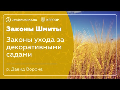 Законы шмиты. Урок 6: Законы ухода за декоративными садами