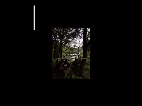 Welcome to the native Lyrics