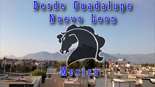 Bronco mirenla mirenla