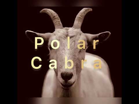 Video thumbnail sRjJ6lWC3iI