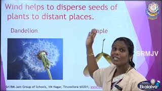 CBSE - CLASS VI - Science - THINGS AROUND US- INTERACTION BETWEEN ABIOTIC AND BIOTIC COMPONENTS