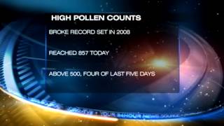 Pollen Levels in Iowa City Break Record