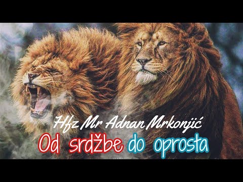 Hfz Adnan Mrkonjić // od srdžbe do oprosta