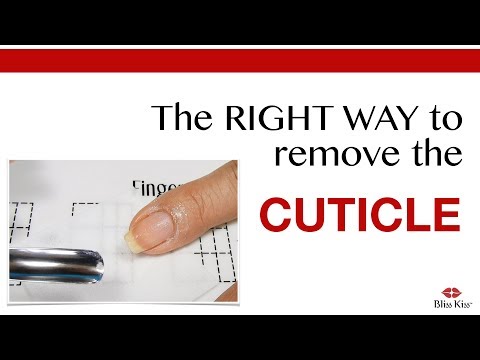 download lagu mp3 mp4 Bliss Kiss, download lagu Bliss Kiss gratis, unduh video klip Bliss Kiss