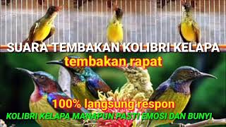 Download lagu suara pancingan korlap gacor tembakan rapat || ampuh memancing korlap agar emosi dan bunyi mp3