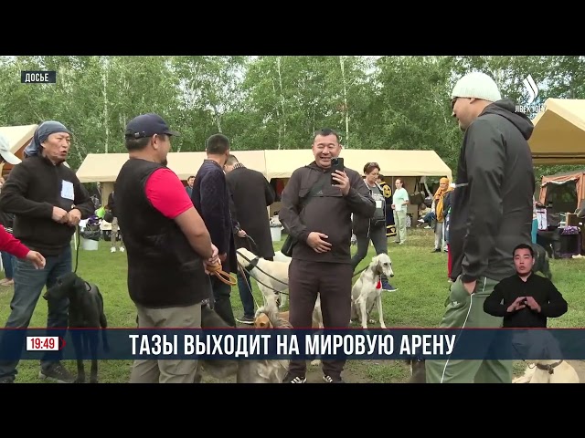 Тазы выходит на мировую арену