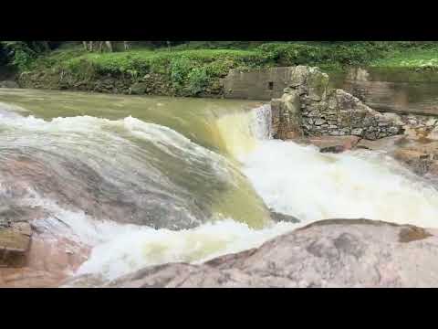 Sons de Natureza - Cachoeira da Usina - Anitápolis - Santa Catarina