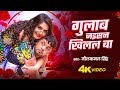 Video नीलकमल सिंह गुलाब जइसन खिलल बा Neelkamal Sin