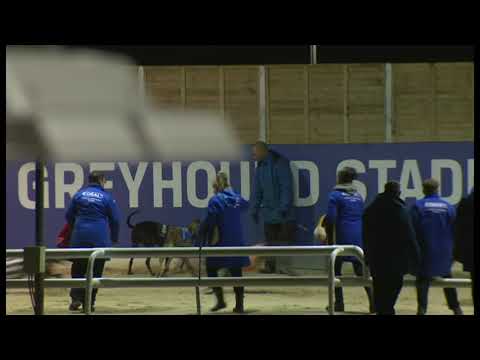 Desparado Dan - Coral Essex Vase Heat 3