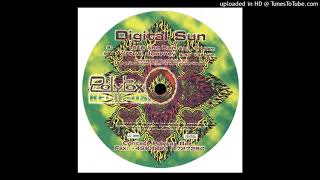 DIGITAL SUN - INTO THE SUN