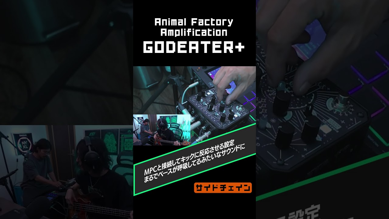 【変わり種エフェクター】Animal Factory Amplification GODEATER+