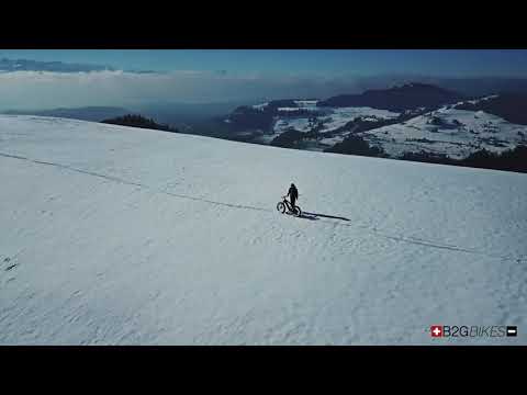 Back2Green FAT-Bike - 150 kg Systemgewicht max.