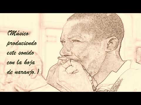 MI LINDO CARPUELA - VERSIÓN ORIGINAL - BOMBA ECUATORIANA
