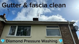 Album cover: Gutter Cleaning