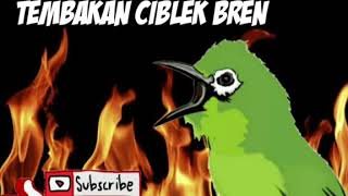 Download lagu masteran pleci nembak ciblek bren gampang masuk ke ombyokan mp3