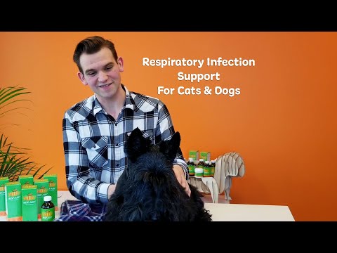 NHV Resp Aid - Respiratory Infection Support for Cats & Dogs
