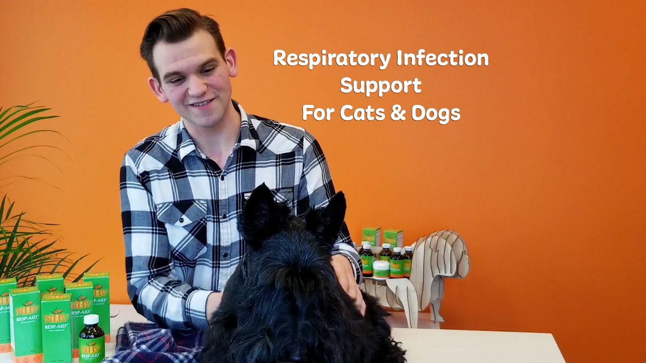 NHV Resp-Aid: Respiratory Infection Support for Cats & Dogs