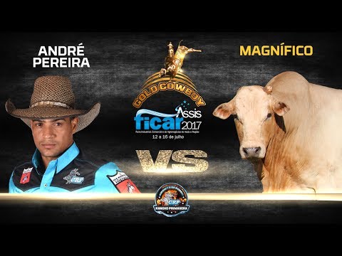 Rodeio da FICAR de Assis 2017 - MELHOR TOURO