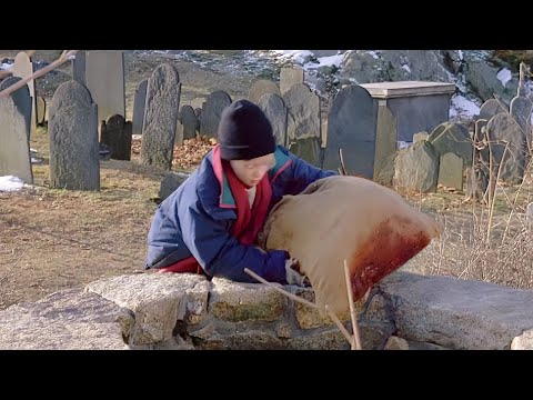 Full recap｜Boy kills brother, pushes mom off a cliff｜Bad guys grow up bad｜The Good Son#viral #movie