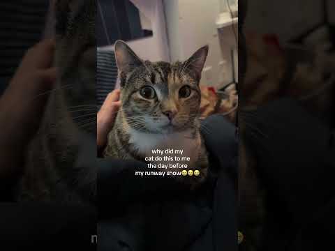 Thanks Cheese this doesn’t look suspicious at all #nyfw #asianmodel #05 #monolids #pocrepresentation