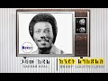 ጋሻው አዳል Gashaw Adal እንዴት ልግለጽልሽ Endet Lgletsilsh